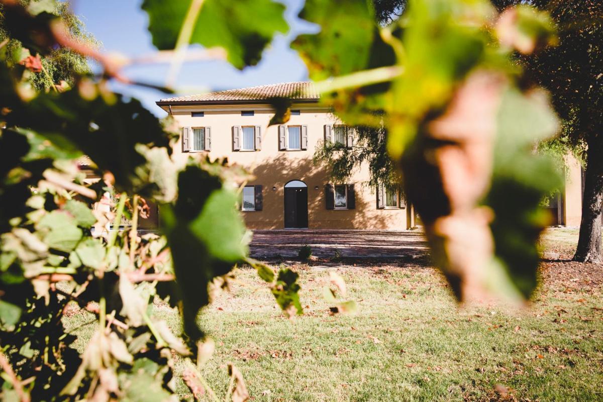 Agriturismo Vitae Fabbrico Exteriör bild