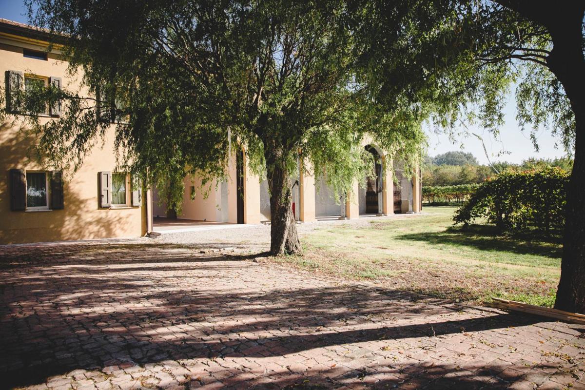 Agriturismo Vitae Fabbrico Exteriör bild