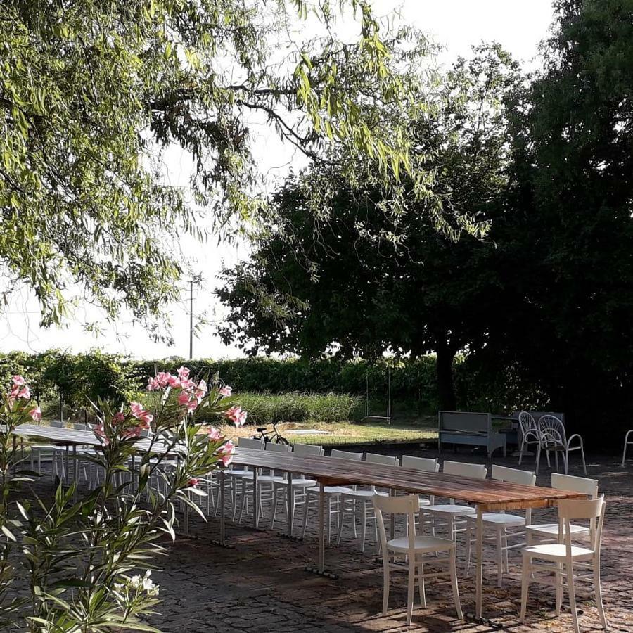 Agriturismo Vitae Fabbrico Exteriör bild