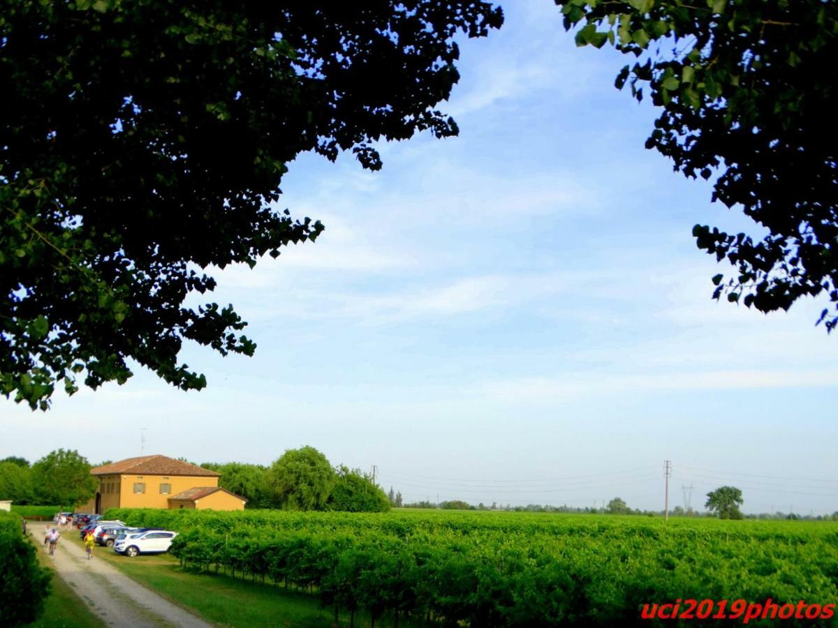 Agriturismo Vitae Fabbrico Exteriör bild